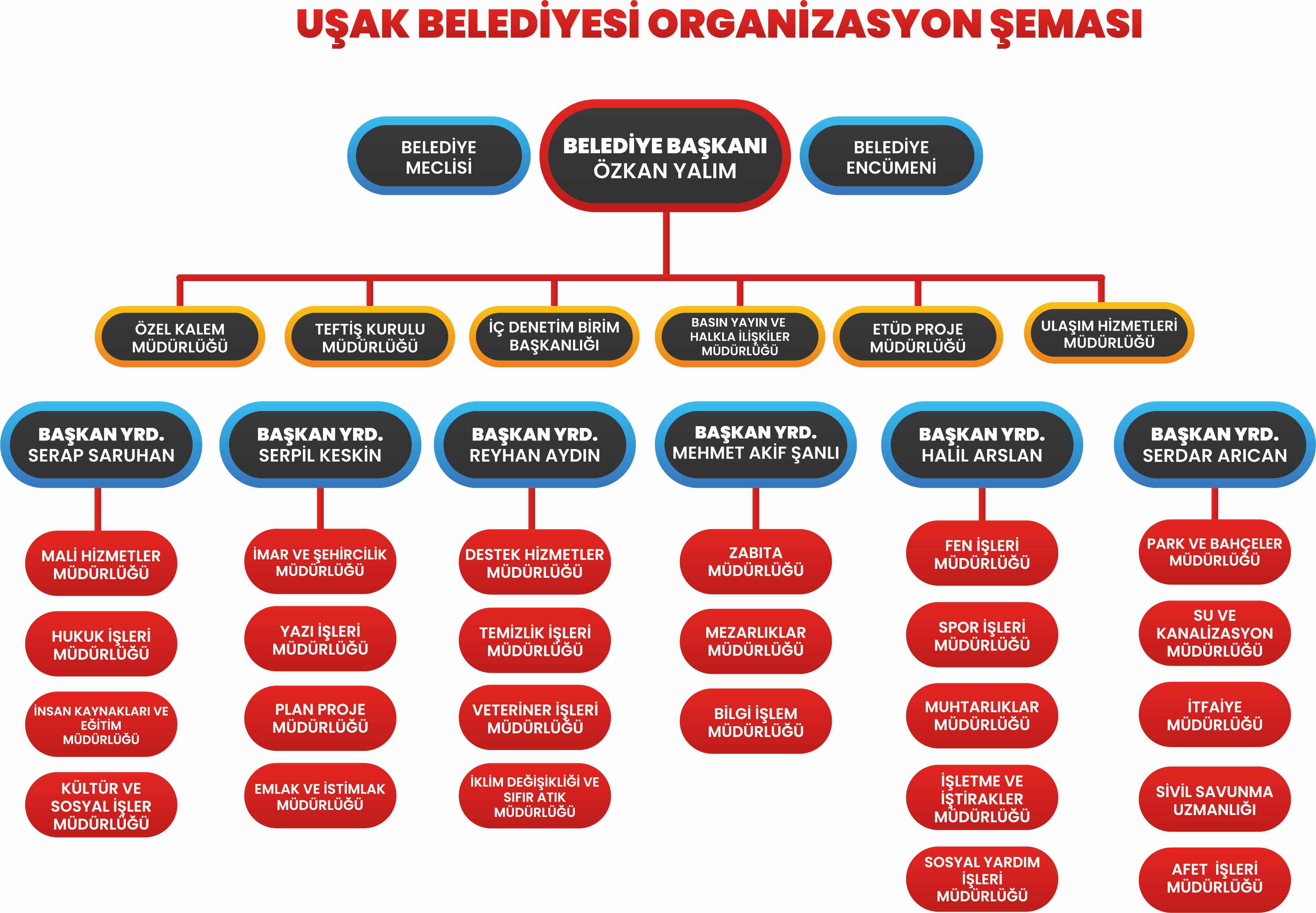 Organizasyon Şeması